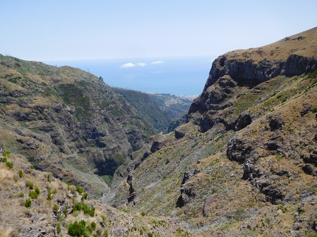 22 de julho de 2015 Levada da Serra da Alegria superior — Na Levada da Serra da Alegria sup. e regresso ao Poco da Neve — foto 7