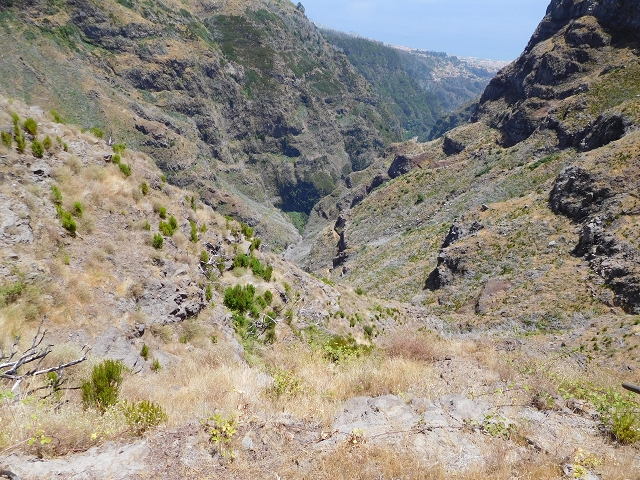 22 de julho de 2015 Levada da Serra da Alegria superior — Na Levada da Serra da Alegria sup. e regresso ao Poco da Neve — foto 8