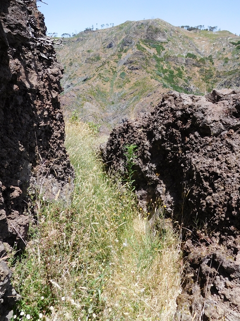 22 de julho de 2015 Levada da Serra da Alegria superior — Na Levada da Serra da Alegria sup. e regresso ao Poco da Neve — foto 11