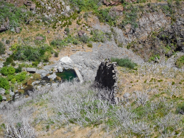 22 de julho de 2015 Levada da Serra da Alegria superior — Na Levada da Serra da Alegria sup. e regresso ao Poco da Neve — foto 16