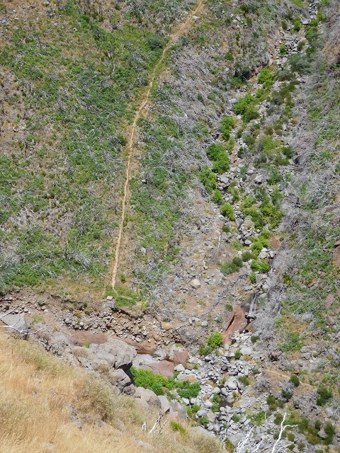 22 de julho de 2015 Levada da Serra da Alegria superior — Na Levada da Serra da Alegria sup. e regresso ao Poco da Neve — foto 17