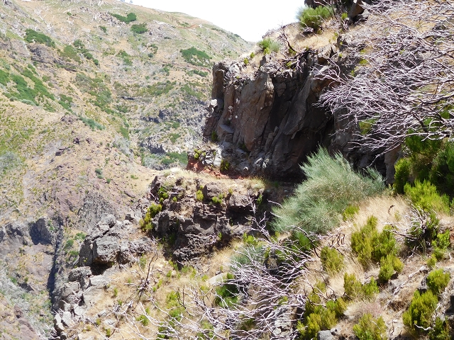 22 de julho de 2015 Levada da Serra da Alegria superior — Na Levada da Serra da Alegria sup. e regresso ao Poco da Neve — foto 19