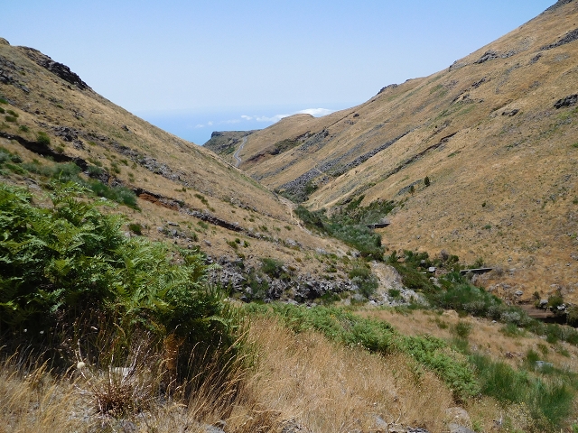 22 de julho de 2015 Levada da Serra da Alegria superior — Do Poco da Neve à Madre da Levada da Negra — foto 12