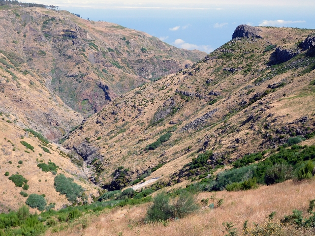 22 de julho de 2015 Levada da Serra da Alegria superior — Na Levada da Serra da Alegria sup. e regresso ao Poco da Neve — foto 31