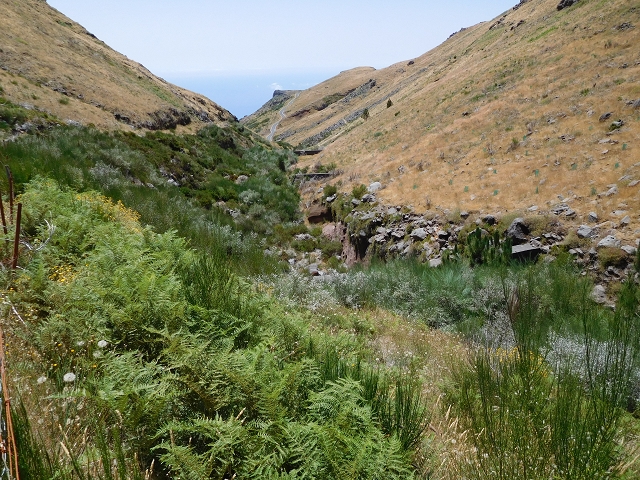 22 de julho de 2015 Levada da Serra da Alegria superior — Do Poco da Neve à Madre da Levada da Negra — foto 13