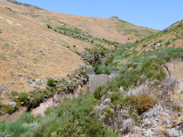 22 de julho de 2015 Levada da Serra da Alegria superior — Do Poco da Neve à Madre da Levada da Negra — foto 14