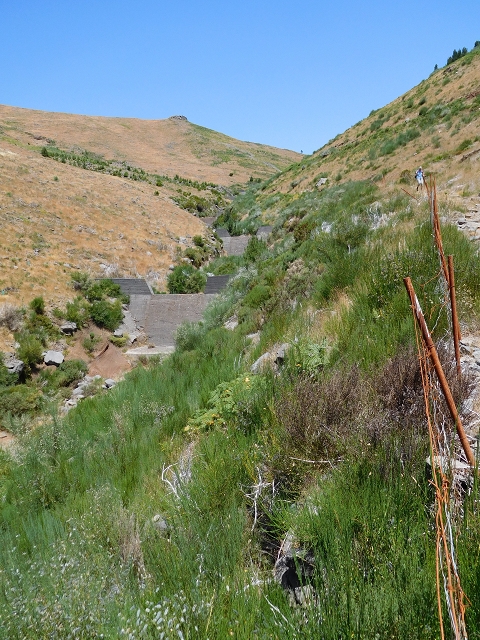 22 de julho de 2015 Levada da Serra da Alegria superior — Do Poco da Neve à Madre da Levada da Negra — foto 15