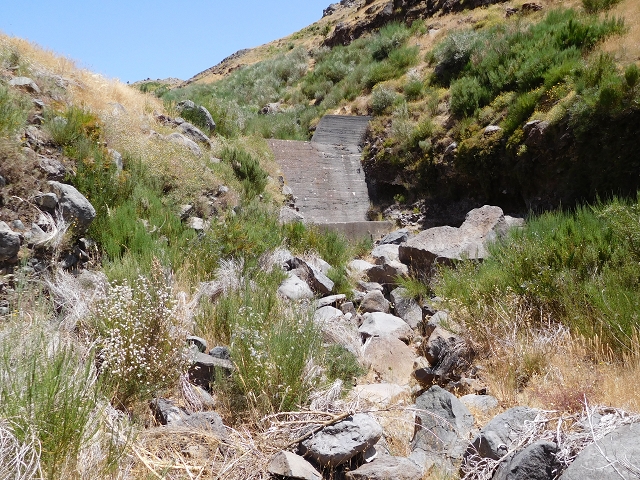 22 de julho de 2015 Levada da Serra da Alegria superior — Do Poco da Neve à Madre da Levada da Negra — foto 17