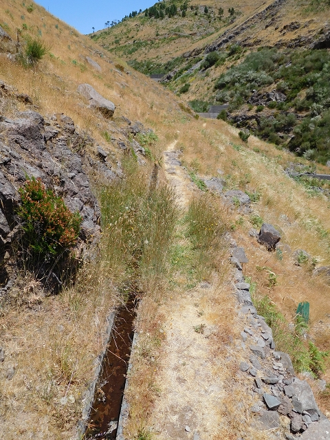 22 de julho de 2015 Levada da Serra da Alegria superior — Do Poco da Neve à Madre da Levada da Negra — foto 18