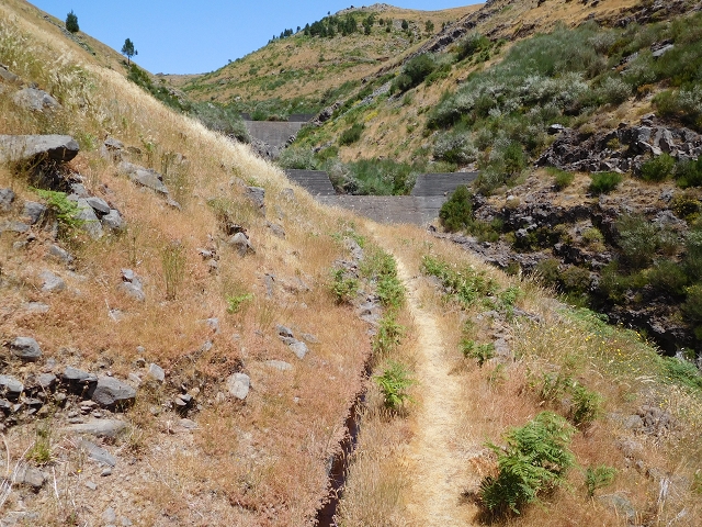 22 de julho de 2015 Levada da Serra da Alegria superior — Do Poco da Neve à Madre da Levada da Negra — foto 19
