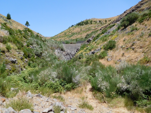 22 de julho de 2015 Levada da Serra da Alegria superior — Troço superior da Levada da Negra — foto 2