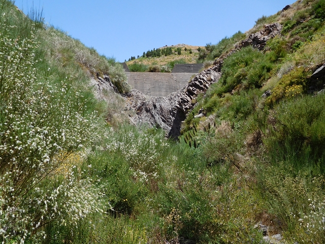 22 de julho de 2015 Levada da Serra da Alegria superior — Troço superior da Levada da Negra — foto 3