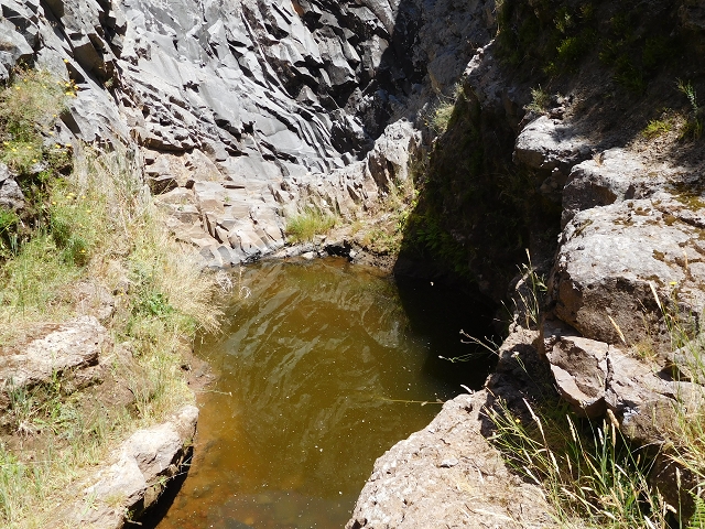 22 de julho de 2015 Levada da Serra da Alegria superior — Troço superior da Levada da Negra — foto 5