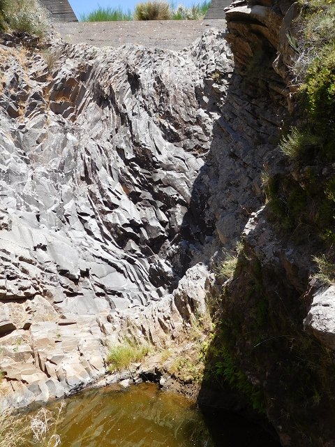 22 de julho de 2015 Levada da Serra da Alegria superior — Troço superior da Levada da Negra — foto 6