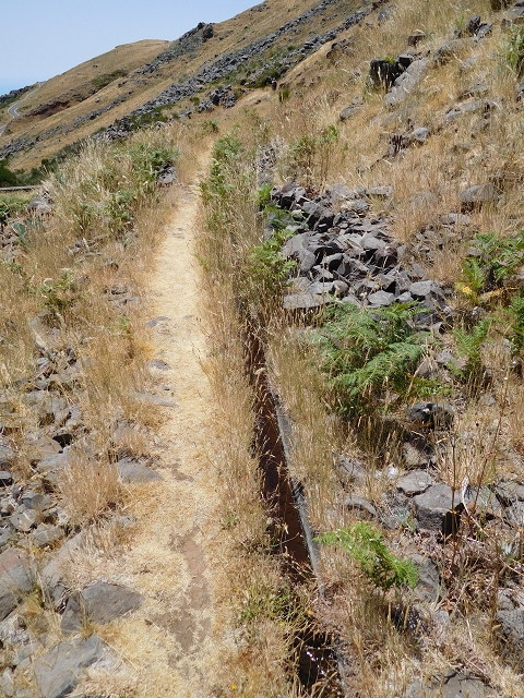 22 de julho de 2015 Levada da Serra da Alegria superior — Troço superior da Levada da Negra — foto 9