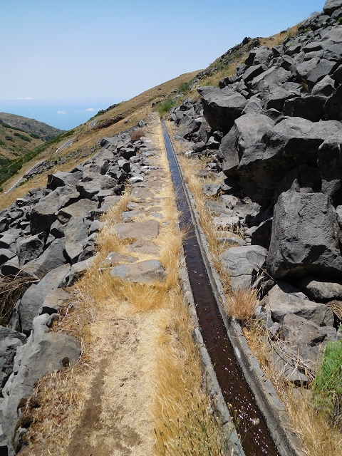 22 de julho de 2015 Levada da Serra da Alegria superior — Troço superior da Levada da Negra — foto 12