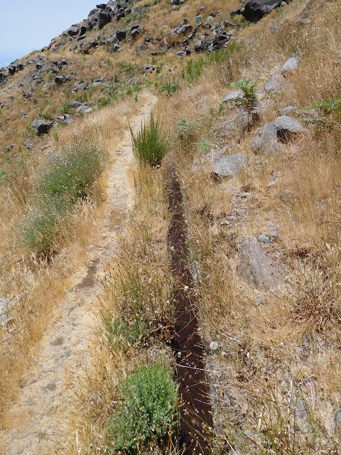 22 de julho de 2015 Levada da Serra da Alegria superior — Troço superior da Levada da Negra — foto 13