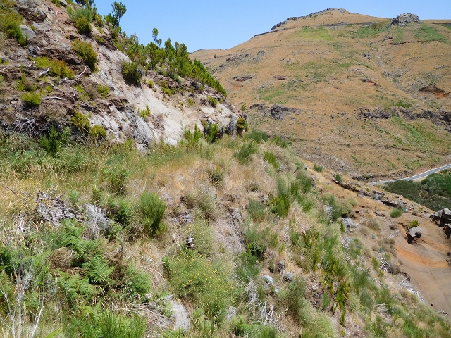 22 de julho de 2015 Levada da Serra da Alegria superior — Troço superior da Levada da Negra — foto 15