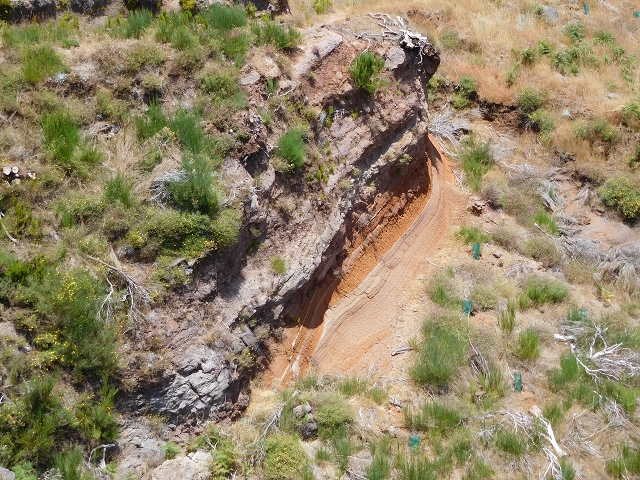 22 de julho de 2015 Levada da Serra da Alegria superior — Troço superior da Levada da Negra — foto 20