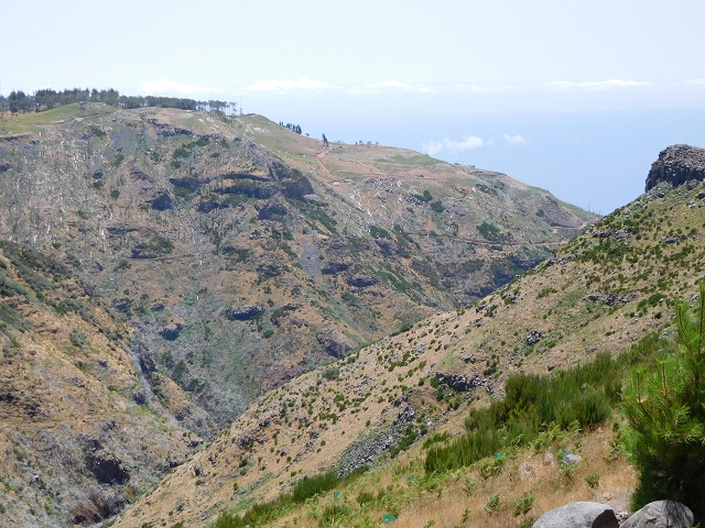22 de julho de 2015 Levada da Serra da Alegria superior — Da estrada panorâmica até à extremidade entubada da Levada da Serra da Alegria sup. — foto 1