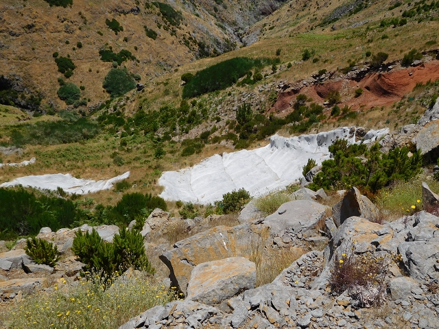22 de julho de 2015 Levada da Serra da Alegria superior — Da estrada panorâmica até à extremidade entubada da Levada da Serra da Alegria sup. — foto 4