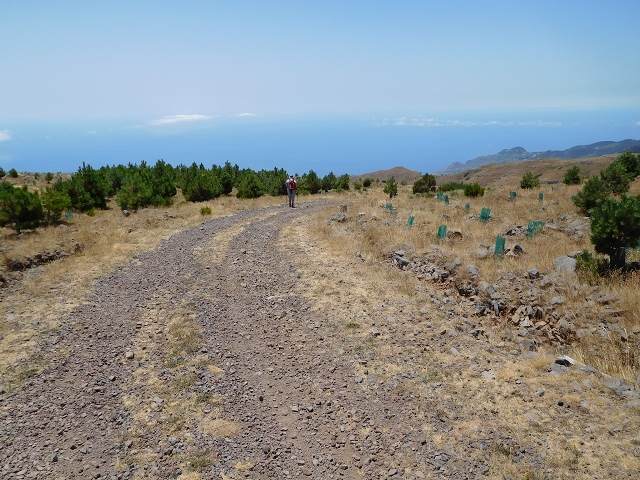 22 de julho de 2015 Levada da Serra da Alegria superior — Da estrada panorâmica até à extremidade entubada da Levada da Serra da Alegria sup. — foto 10