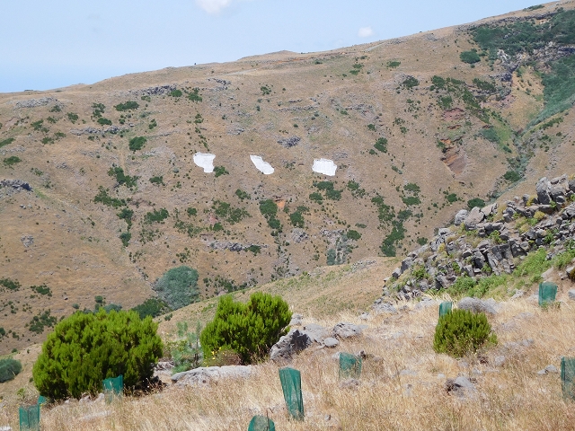 22 de julho de 2015 Levada da Serra da Alegria superior — Da estrada panorâmica até à extremidade entubada da Levada da Serra da Alegria sup. — foto 11