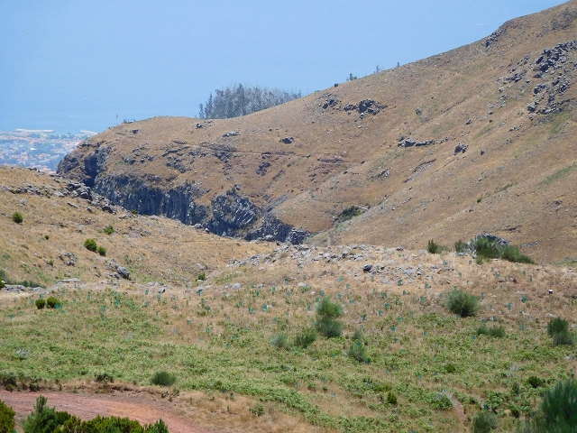 22 de julho de 2015 Levada da Serra da Alegria superior — Da estrada panorâmica até à extremidade entubada da Levada da Serra da Alegria sup. — foto 14