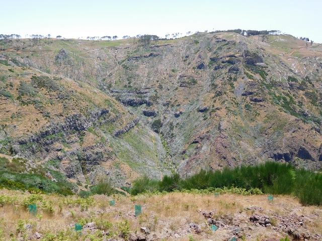 22 de julho de 2015 Levada da Serra da Alegria superior — Da estrada panorâmica até à extremidade entubada da Levada da Serra da Alegria sup. — foto 16