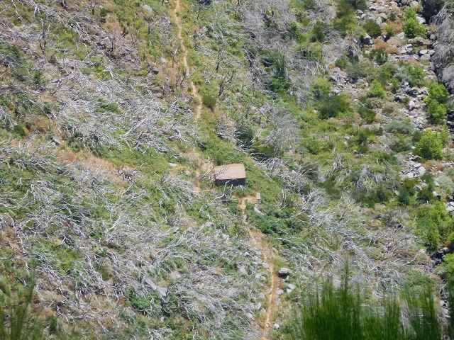 22 de julho de 2015 Levada da Serra da Alegria superior — Da estrada panorâmica até à extremidade entubada da Levada da Serra da Alegria sup. — foto 17