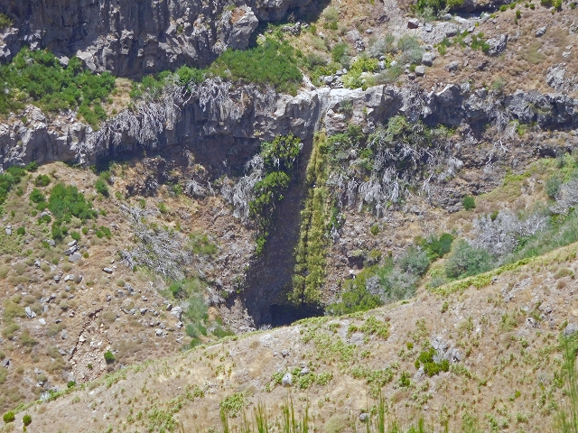22 de julho de 2015 Levada da Serra da Alegria superior — Da estrada panorâmica até à extremidade entubada da Levada da Serra da Alegria sup. — foto 20