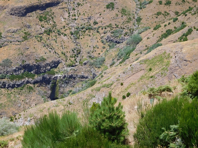 22 de julho de 2015 Levada da Serra da Alegria superior — Da estrada panorâmica até à extremidade entubada da Levada da Serra da Alegria sup. — foto 21