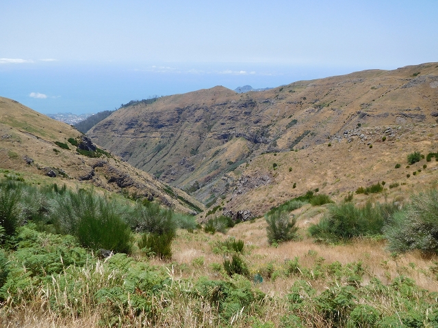 22 de julho de 2015 Levada da Serra da Alegria superior — Da estrada panorâmica até à extremidade entubada da Levada da Serra da Alegria sup. — foto 22