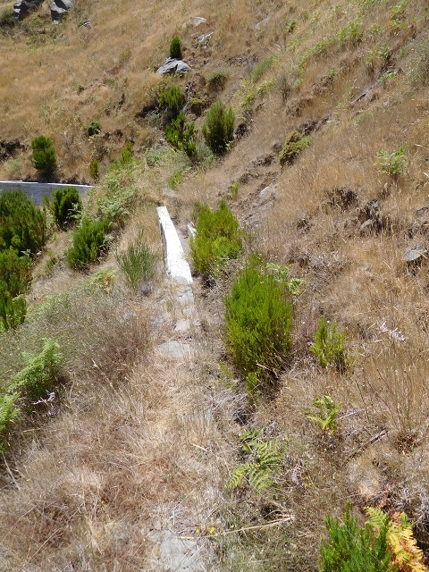 22 de julho de 2015 Levada da Serra da Alegria superior — Da estrada panorâmica até à extremidade entubada da Levada da Serra da Alegria sup. — foto 33