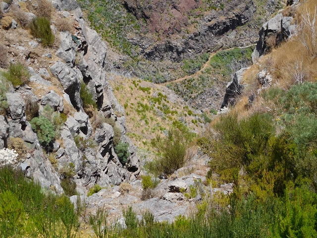 22 de julho de 2015 Levada da Serra da Alegria superior — Da estrada panorâmica até à extremidade entubada da Levada da Serra da Alegria sup. — foto 36