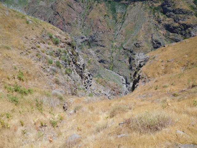22 de julho de 2015 Levada da Serra da Alegria superior — Da estrada panorâmica até à extremidade entubada da Levada da Serra da Alegria sup. — foto 39