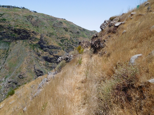 22 de julho de 2015 Levada da Serra da Alegria superior — Da estrada panorâmica até à extremidade entubada da Levada da Serra da Alegria sup. — foto 40