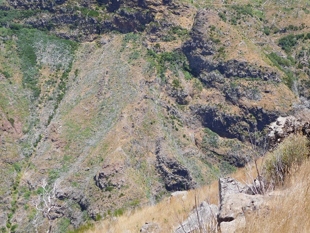 22 de julho de 2015 Levada da Serra da Alegria superior — Da estrada panorâmica até à extremidade entubada da Levada da Serra da Alegria sup. — foto 41