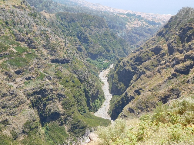 22 de julho de 2015 Levada da Serra da Alegria superior — Da estrada panorâmica até à extremidade entubada da Levada da Serra da Alegria sup. — foto 46