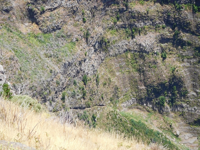 22 de julho de 2015 Levada da Serra da Alegria superior — Da estrada panorâmica até à extremidade entubada da Levada da Serra da Alegria sup. — foto 48