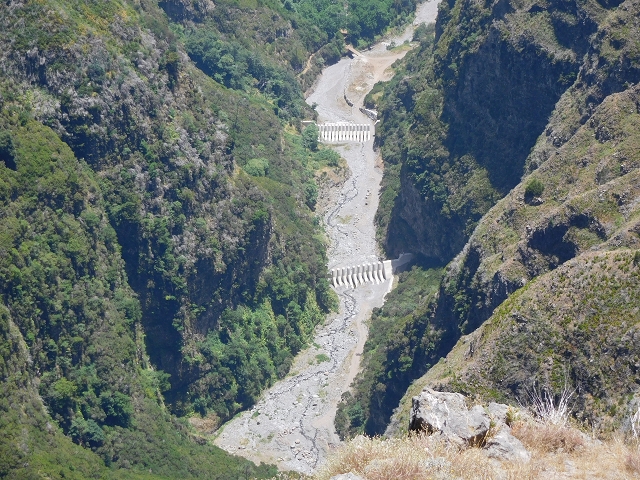 22 de julho de 2015 Levada da Serra da Alegria superior — Da estrada panorâmica até à extremidade entubada da Levada da Serra da Alegria sup. — foto 49