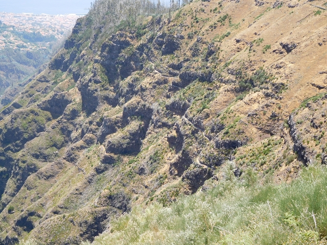 22 de julho de 2015 Levada da Serra da Alegria superior — Da estrada panorâmica até à extremidade entubada da Levada da Serra da Alegria sup. — foto 50