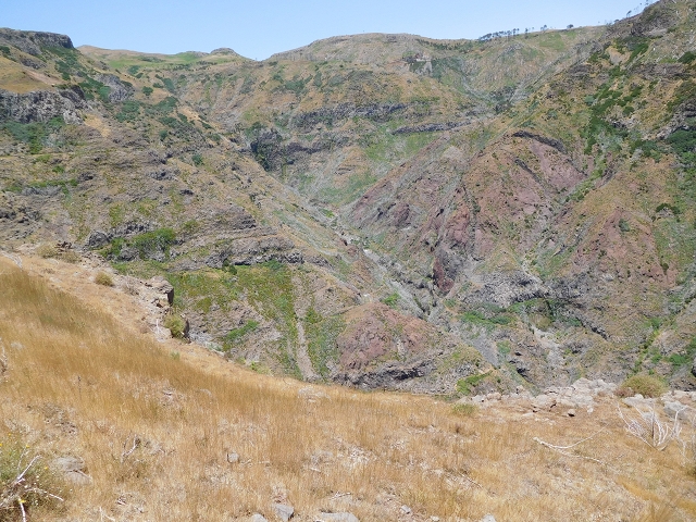 22 de julho de 2015 Levada da Serra da Alegria superior — Da estrada panorâmica até à extremidade entubada da Levada da Serra da Alegria sup. — foto 54