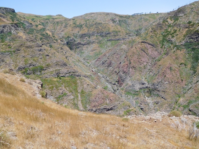 22 de julho de 2015 Levada da Serra da Alegria superior — Da estrada panorâmica até à extremidade entubada da Levada da Serra da Alegria sup. — foto 55