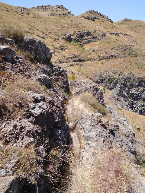 22 de julho de 2015 Levada da Serra da Alegria superior — Na Levada da Serra da Alegria sup. e regresso ao Poco da Neve — foto 1