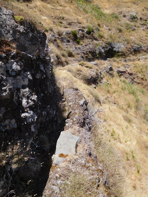 22 de julho de 2015 Levada da Serra da Alegria superior — Na Levada da Serra da Alegria sup. e regresso ao Poco da Neve — foto 2