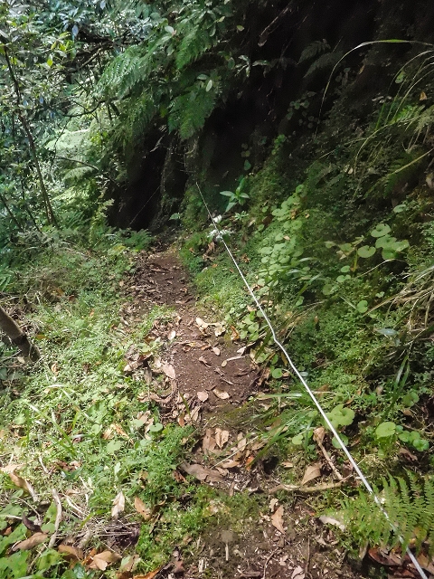 22.08.2017 Poco das Pulgas, Os Arredados und die Miradouros an der Nordküste — Oberhalb der Schlüsselstelle — Foto 1