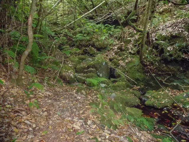 22.08.2017 Poco das Pulgas, Os Arredados und die Miradouros an der Nordküste — Bachbett 2 — Foto 1