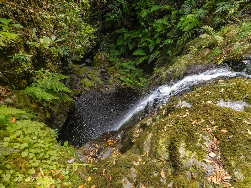 22.08.2017 Poco das Pulgas, Os Arredados und die Miradouros an der Nordküste — Weiter zum ersten Wasserfall — Foto 6