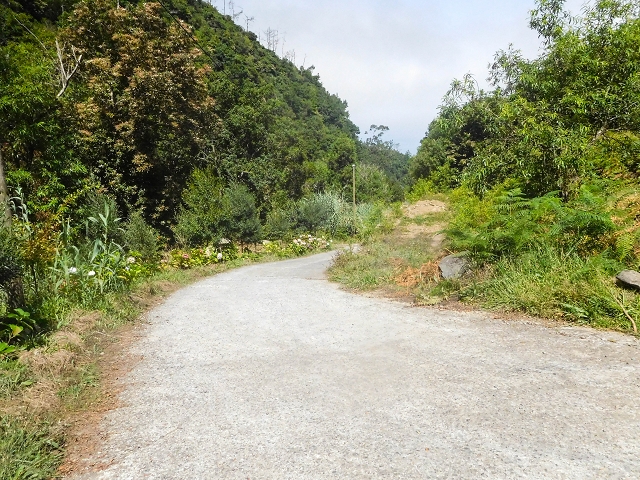 22.08.2017 Poco das Pulgas, Os Arredados und die Miradouros an der Nordküste — Zurück auf dem Caminho da Camisa zur Parque de Merendas na Lombada da Ponta Delgada — Foto 1